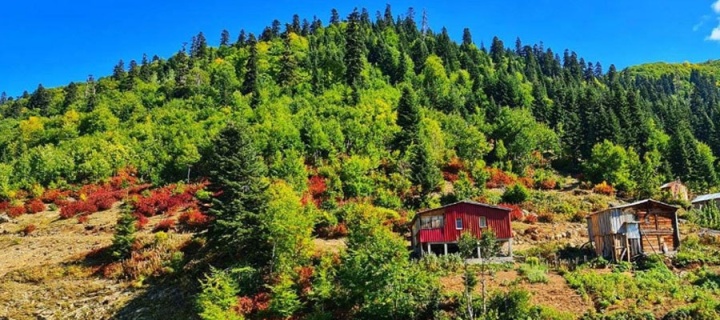 DOĞU KARADENİZ, ŞAVŞAT VE HEMŞİN YAYLALARI