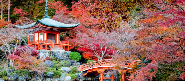 KOYO DÖNEMİ GÜNEY KORE - JAPONYA TURU 