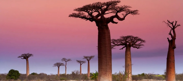 MADAGASKAR - MAURİTİUS ADASI