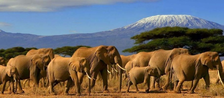 KENYA - TANZANYA - ZANZİBAR TURU