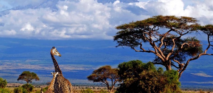 KENYA - TANZANYA - ZANZİBAR TURU